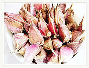 Uiseong Garlic 01