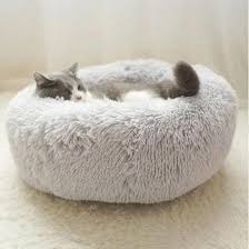 camas para gatos sencilla