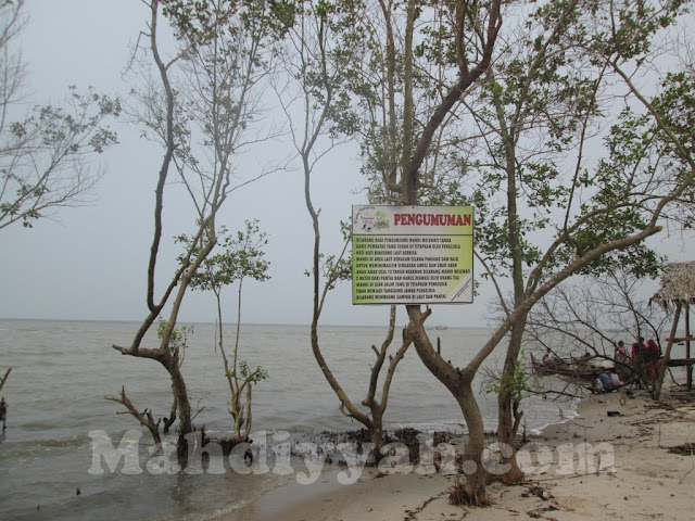 Pantai Mangrove, wisata sumatera utara, wisata pantai