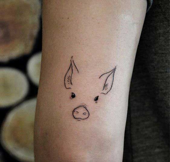 Tatuagens de porcos 