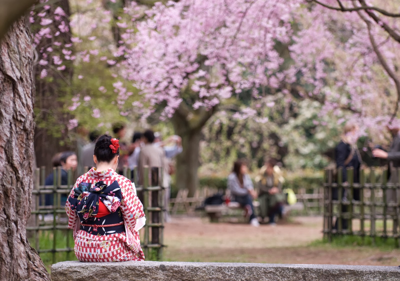 Paket Wisata Muslim ke Jepang Murah