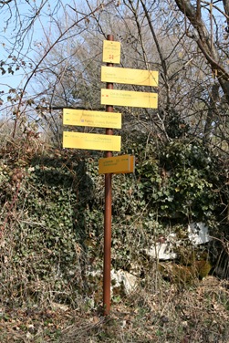 2010c_7695
