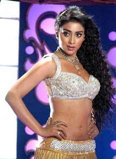 Shriya Saran Item Song Picture