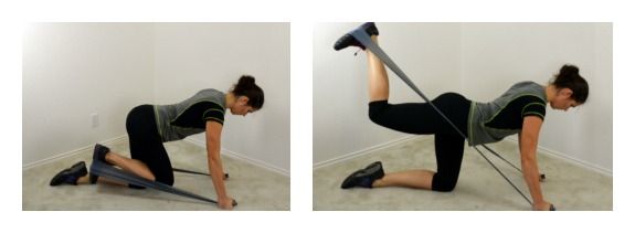 Quadruped Banded Hip Extension 