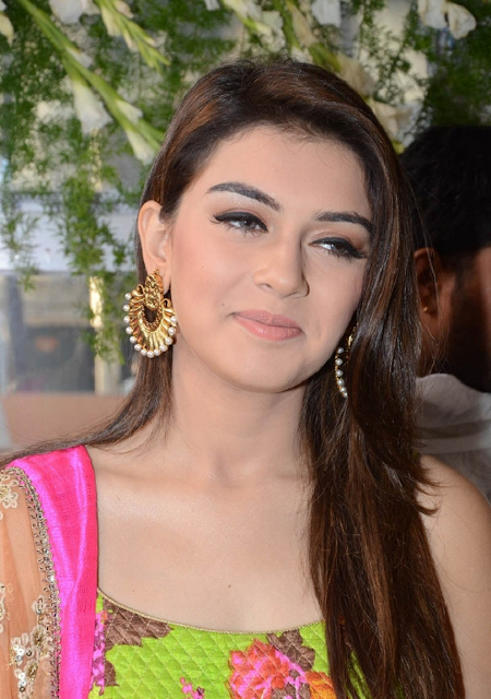 Hansika Motwani Hot Photos Hd Wallpapers