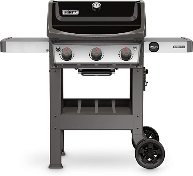 7 Best Barbeque Grills to Buy in 2022 | Best Reviews & Top Picks