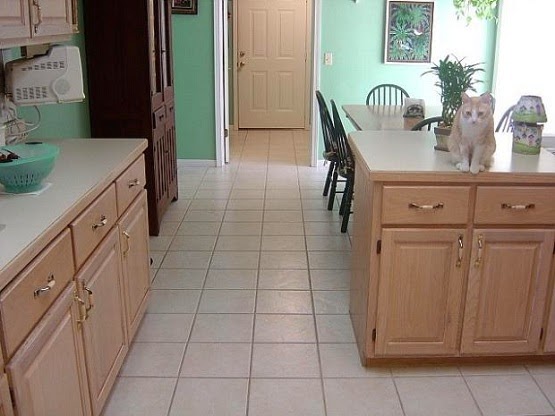  Tips Memilih Keramik Lantai Dapur Rumah Yang Pas Rumah 