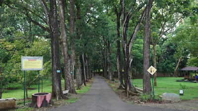 Kebun Raya Purwodadi