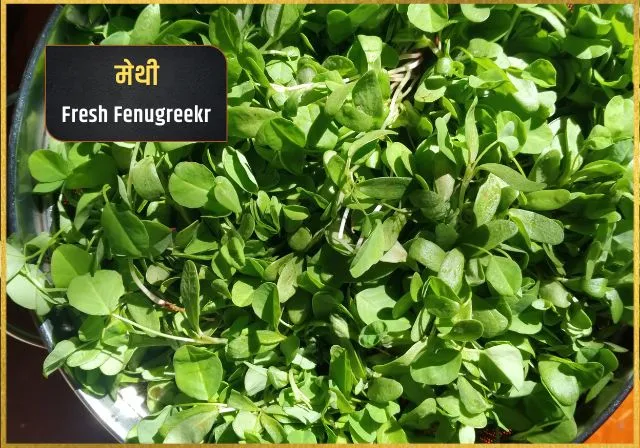 methi herb in indian cooking