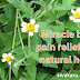  Miracle back pain relief with natural herbs