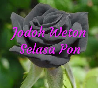 Memilih Jodoh Yang Cocok Untuk Weton Selasa Pon