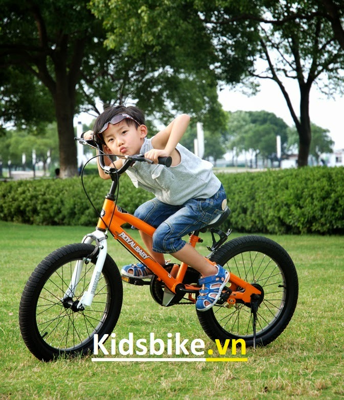 Xe đạp thể thao trẻ em giá rẻ 