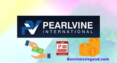 Pearlvine all business Plan Pdf