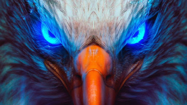 Eagle, Hd, 4k, Artwork, Animals Images