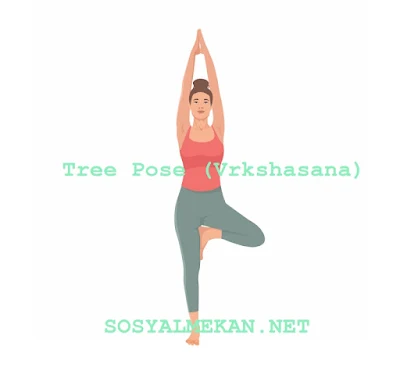 Tree Pose (Vrkshasana)