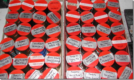 Seeds set out for spring and summer planting; this represents about half the collection, and over 50 different varieties. They are stored in empty coffee tins having press-fit lids.