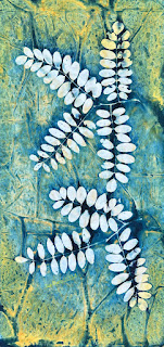 Sue Reno, wet cyanotype, image 1143