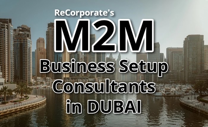 M2M Business Setup Consultants in Dubai