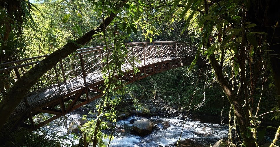 [遊記] 九寮溪自然步道: 炎夏中的一股沁涼