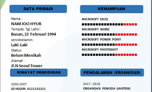 Download CV (Curriculum Vitae) Format Doc Versi 4