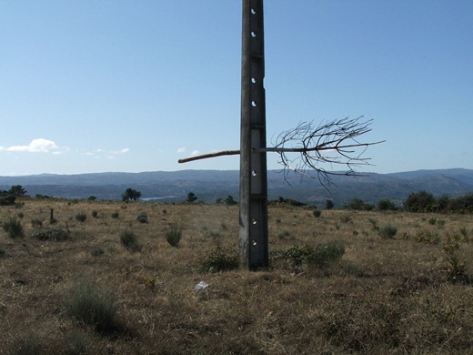 8-Mariana