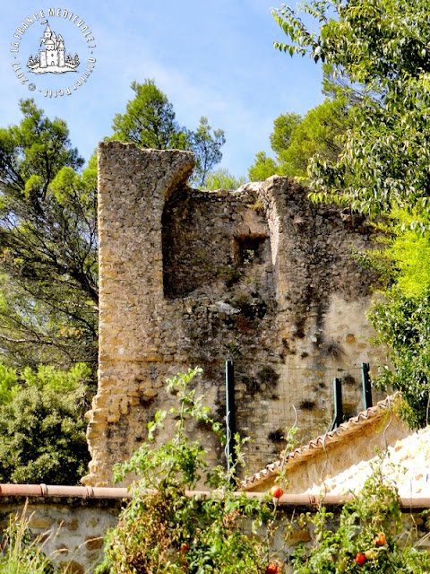 LE TEIL (07) - Le château et le bourg médiéval