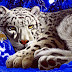 3d cheetah Amazing Art Wallpaper