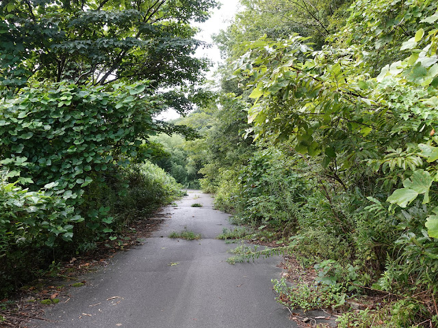 鳥取県道1号溝口伯太線の左手の枝道