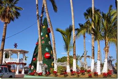 IMG_7964_1024x683