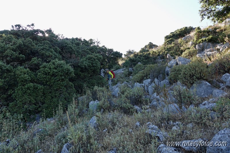 Crestería Sierra de Líbar y Mojón Alto