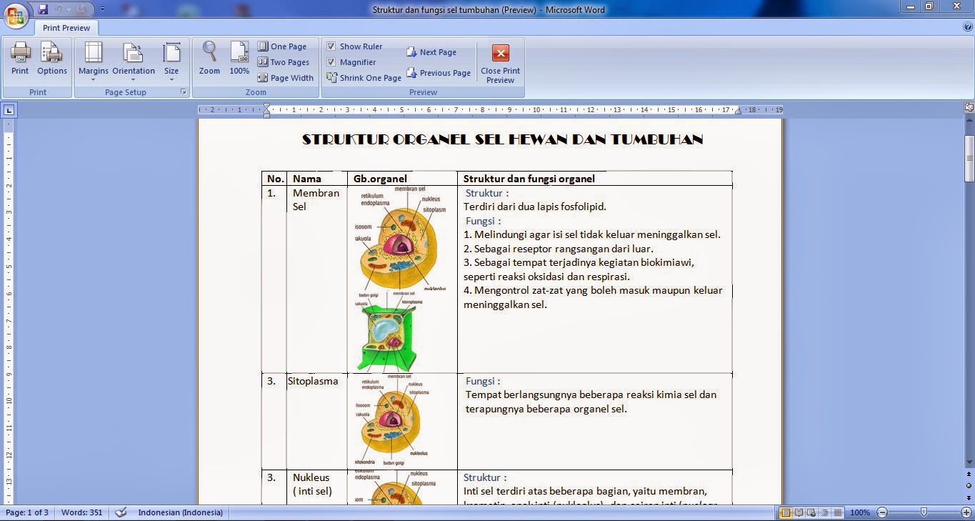  Struktur  dan  Fungsi  Sel  Apa saja D