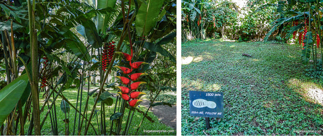 Trilha na área verde do San Martin Hotel & Spa, em Foz do Iguaçu