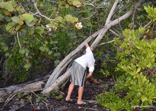 Searching for the elusive geocache