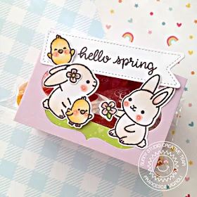 Sunny Studio Stamps: Chubby Bunny Sliding Window Dies Fancy Frames Hello Spring Card by Franci Vignoli