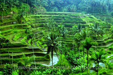 Tempat Wisata Bali