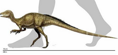 dinosaurus baru Fruitadens Haagarorum