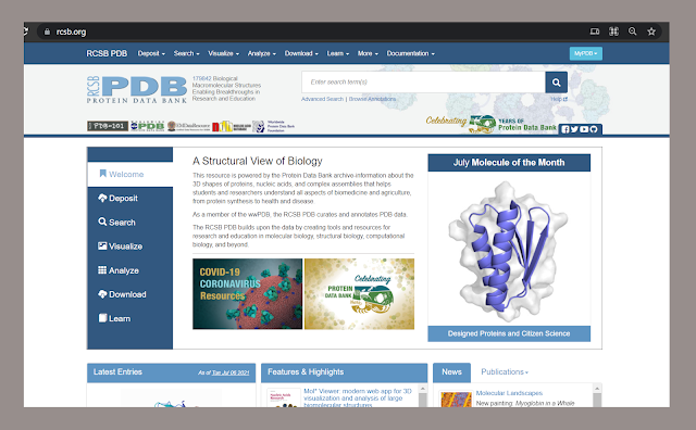 protein structure | PDB
