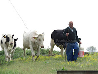 Oreña camino de Santiago Norte Sjeverni put sv. Jakov slike psihoputologija