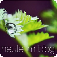 SMF#11 (03)