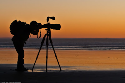 Silhouette Photography Tips