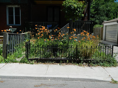 Leslieville Frontyard Garden Summer Cleanup Before by Paul Jung Gardening Services--a Toronto Gardening Company