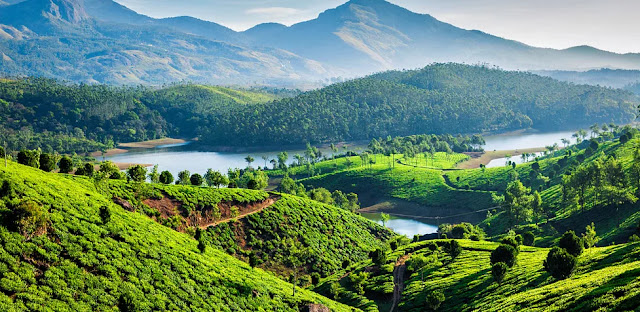 Munnar, Kerala