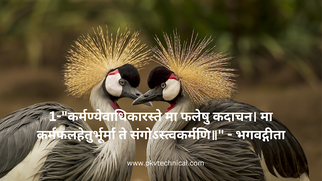 Short Hindi Quotes with English Translation Image of Positive thinking Quotes in Hindi and English Positive thinking Quotes in Hindi and English Image of Hindi Quotes in English translation Hindi Quotes in English translation Image of Daily Quotes in English with Hindi meaning Daily Quotes in English with Hindi meaning Image of Best Quotes Hindi English Best Quotes Hindi English Image of Hindi Quotes in English about life Hindi Quotes in English about life