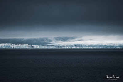 Expédition polaire au Svalbard: Le Glacier du roi et les phoques barbus !