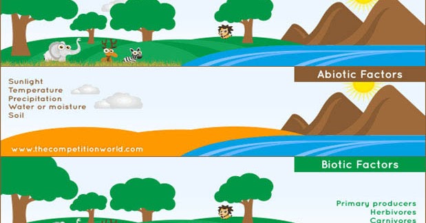 Komponen Biotik dan Abiotik, Pengertian, dan Contohnya