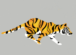 Terkini Gambar Animasi Harimau Bergerak, Gambar Harimau