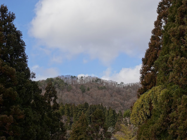 鳥取県日野郡江府町御机集落からの眺望