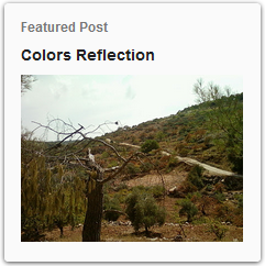 http://www.thebirdali.com/2011/10/colors-reflection.html