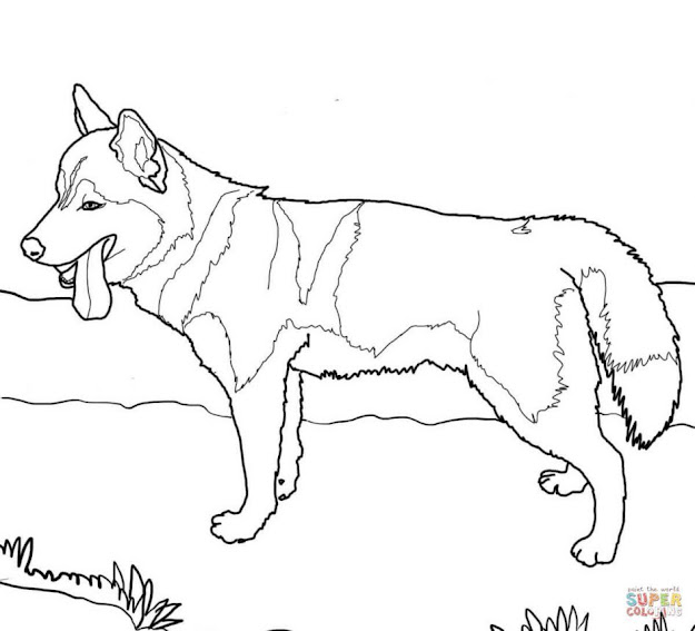 Husky Coloring Pages Download Coloring Pages Dog Coloring Pages Dog Coloring  Pages Coloring Pages Of Animals