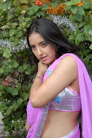 Tollywood Actress Preethi Mehra Hot Saree Navel Show